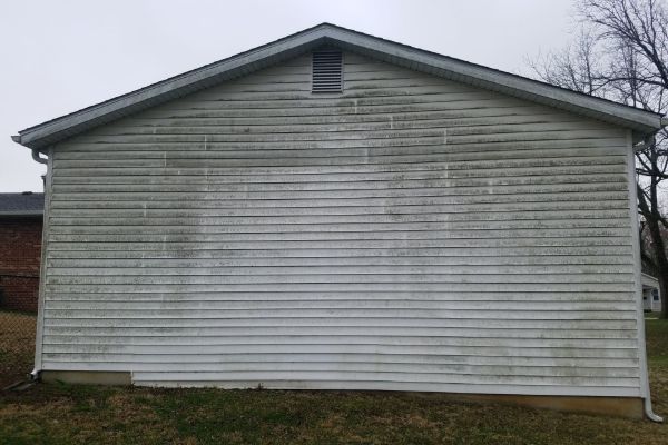 vinyl siding soft washing service