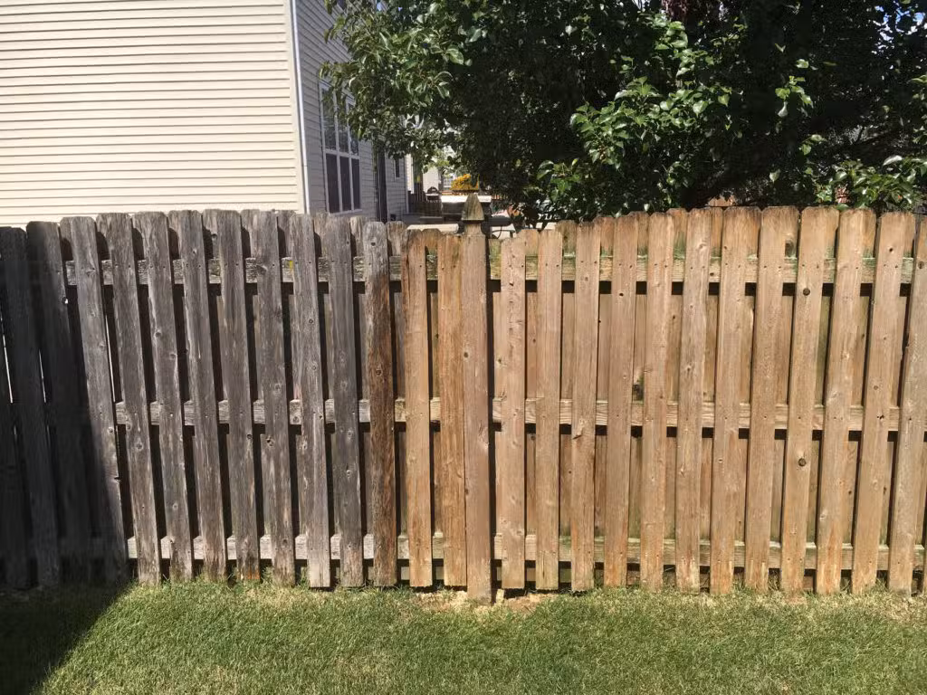 Fence Washing 3