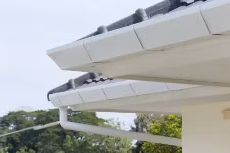 Professional Gutter Cleaner