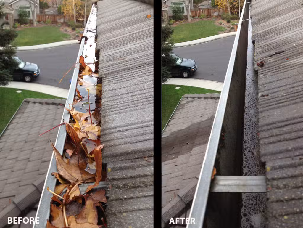 Gutter Cleaner Services